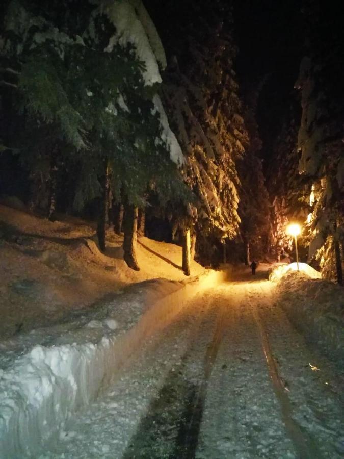 Elitza Villa Pamporovo Exteriér fotografie