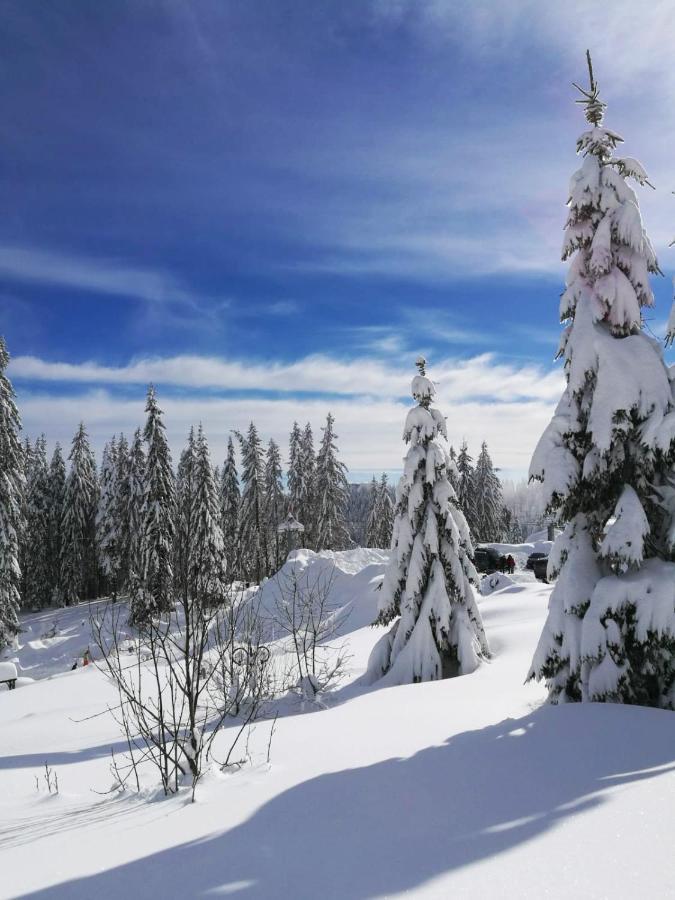 Elitza Villa Pamporovo Exteriér fotografie