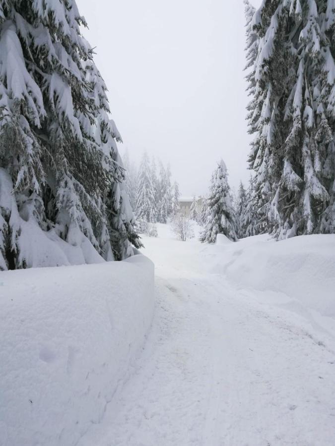 Elitza Villa Pamporovo Exteriér fotografie