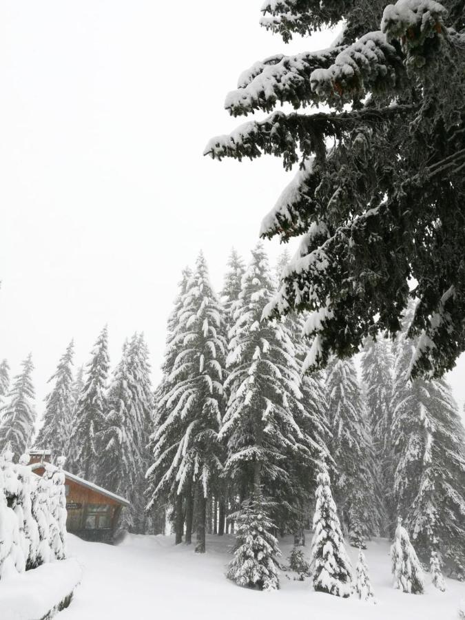 Elitza Villa Pamporovo Exteriér fotografie