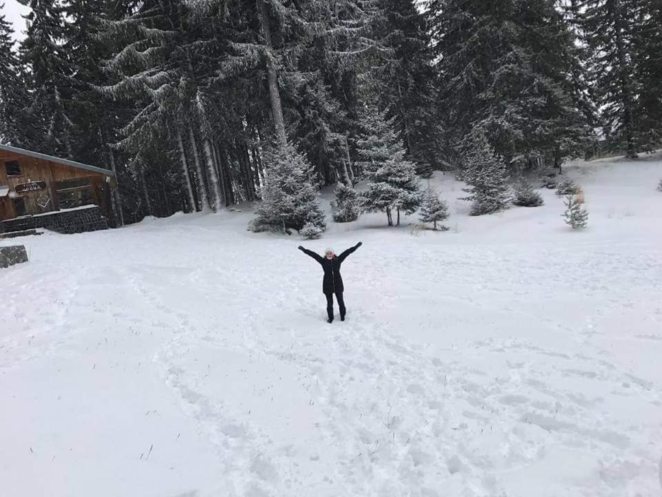 Elitza Villa Pamporovo Exteriér fotografie