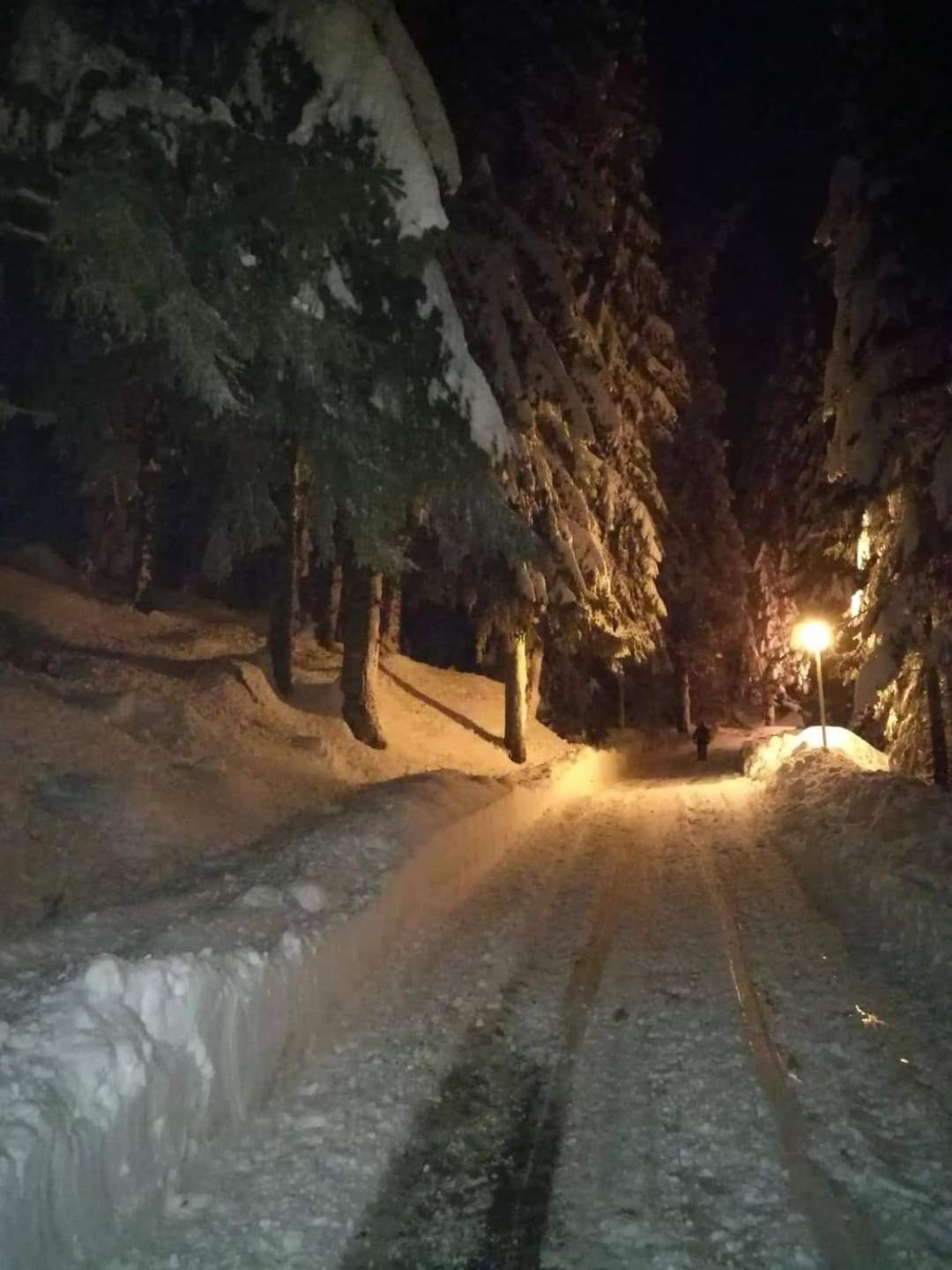Elitza Villa Pamporovo Exteriér fotografie