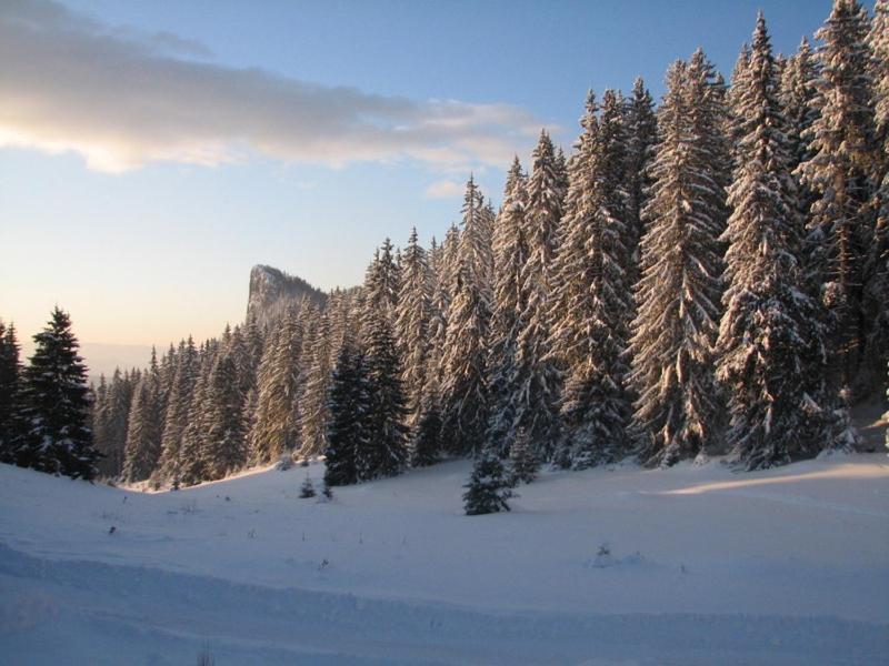 Elitza Villa Pamporovo Exteriér fotografie