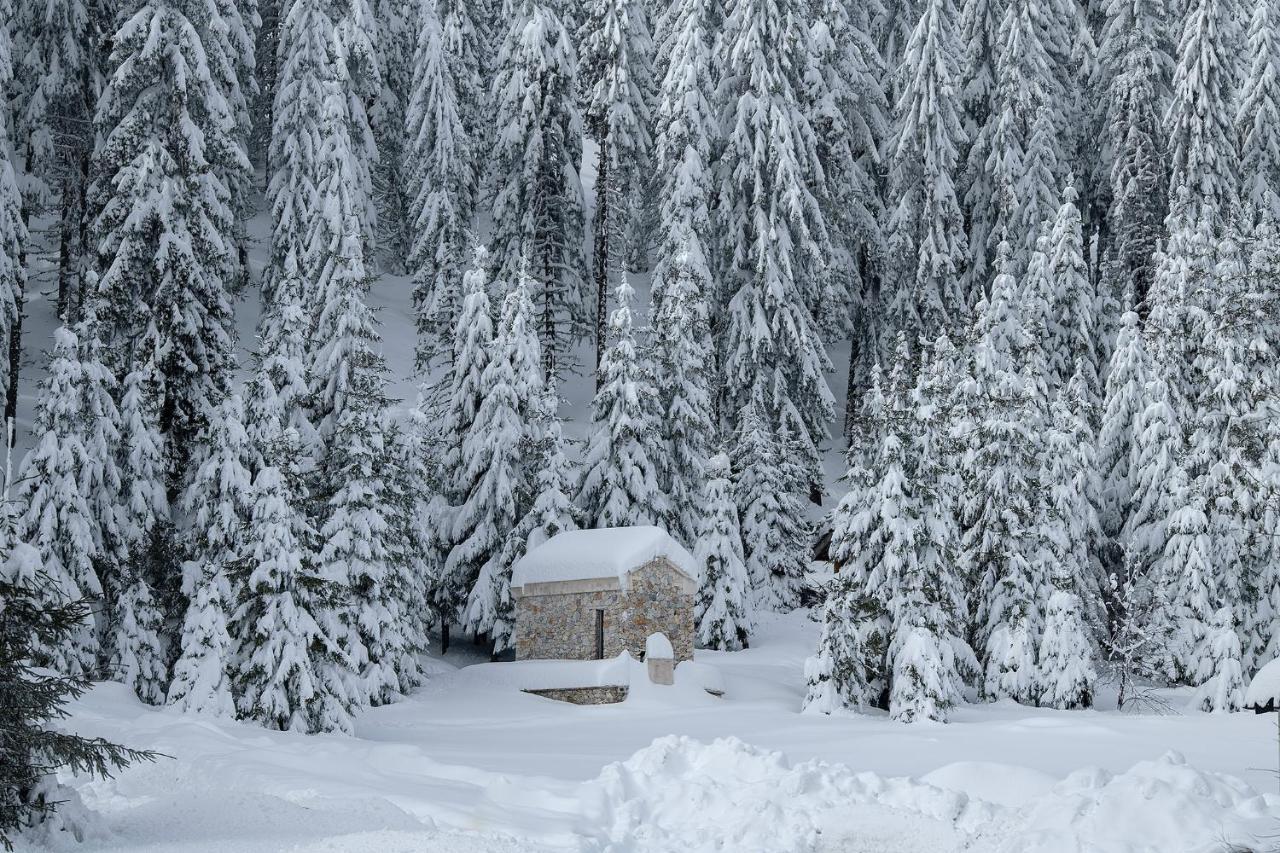 Elitza Villa Pamporovo Exteriér fotografie